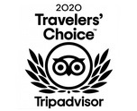 TripAdvisor COE