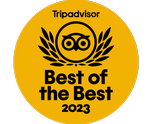 TripAdvisor 2023